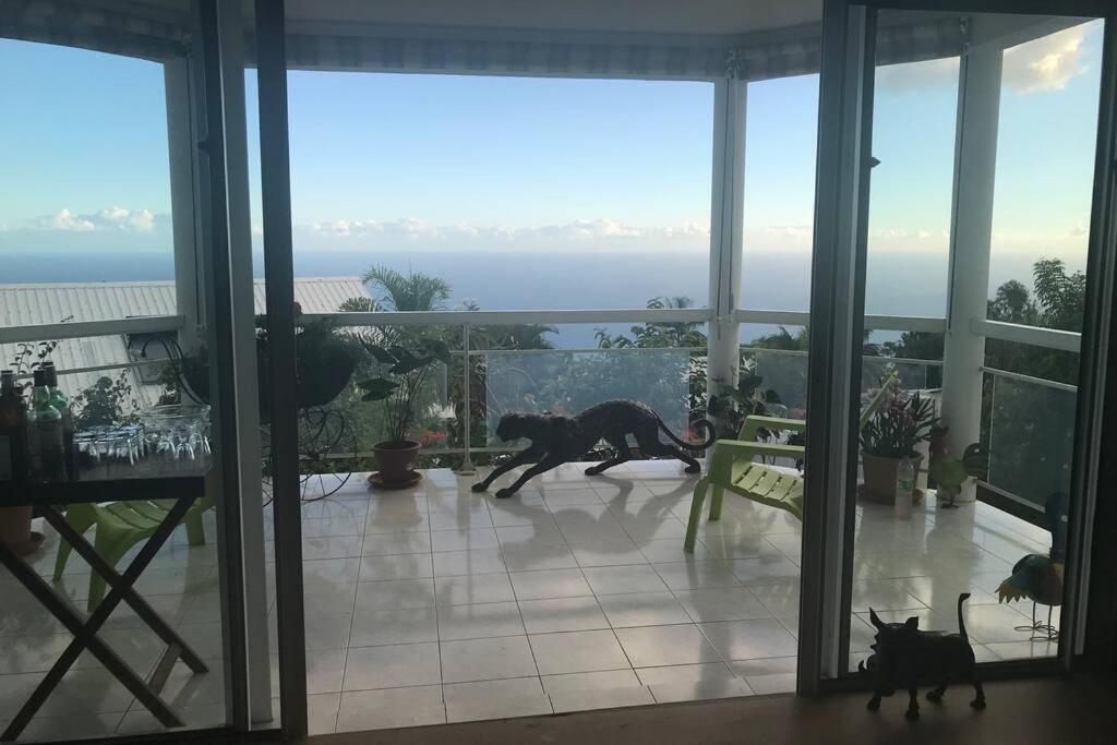 St Leu -Villa D'Artiste, Superbe Vue Mer, Piscine Chauffee Saint-Leu Zewnętrze zdjęcie
